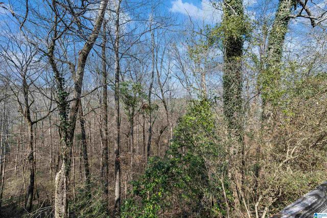 8016 RIVER BEND ROAD, Morris, AL 35116