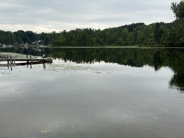 4605 Hunters Trail, Six Lakes, MI 48886