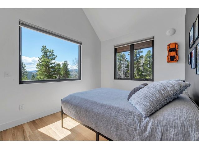 11 Juneau Cir, Nederland, CO 80466