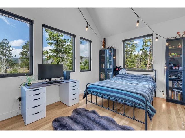 11 Juneau Cir, Nederland, CO 80466