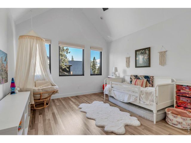 11 Juneau Cir, Nederland, CO 80466