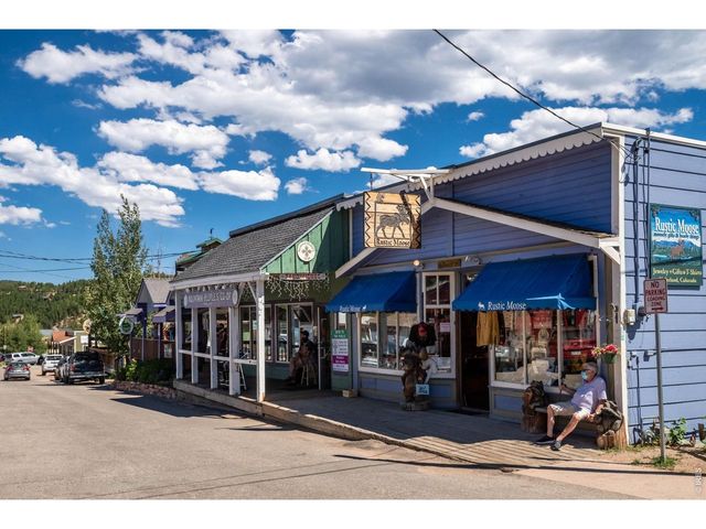 11 Juneau Cir, Nederland, CO 80466