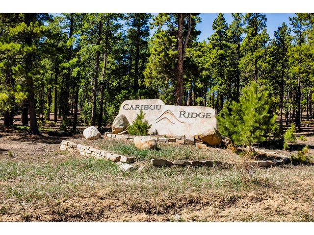 11 Juneau Cir, Nederland, CO 80466