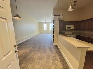 2315 Harborside Drive 205, Galveston, TX 77550