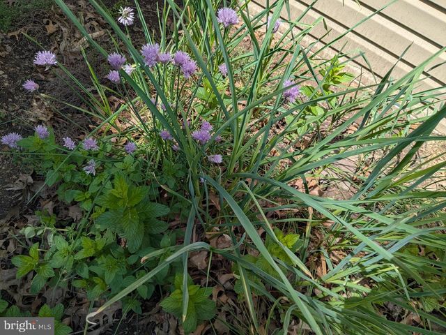 2308 CYPRESS DR, Harrisburg, PA 17110