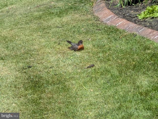 2308 CYPRESS DR, Harrisburg, PA 17110