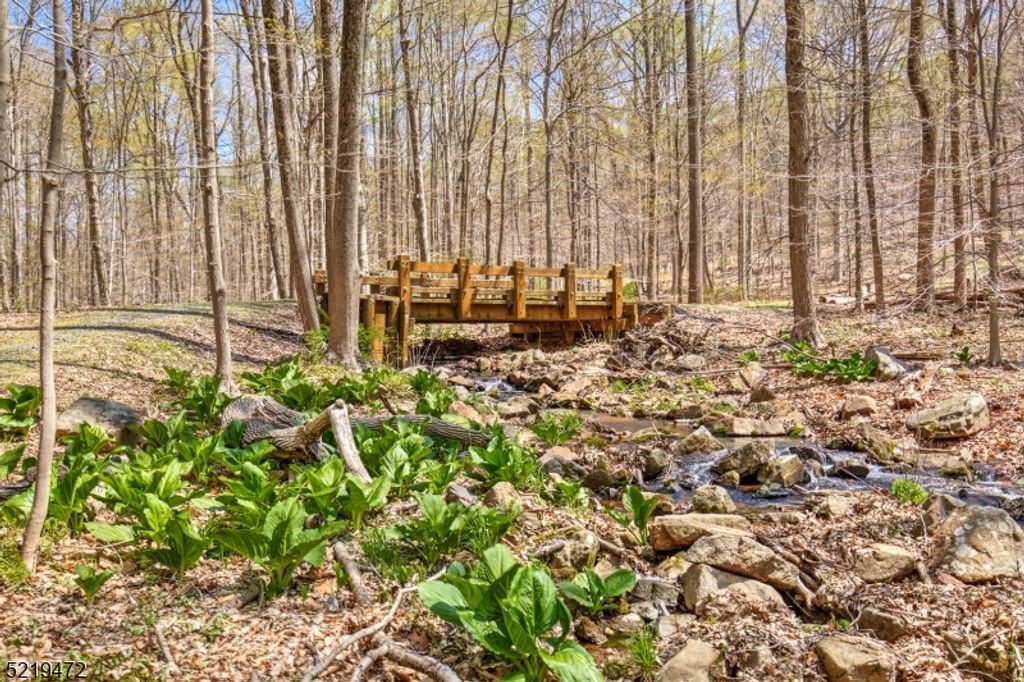 60 and 66 Rippling Brook Wa, Bernardsville Boro, NJ 07924 — exterior