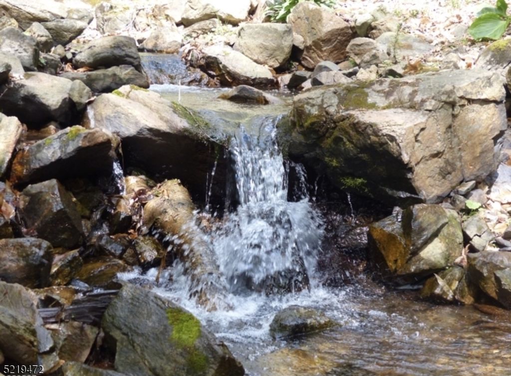 60 and 66 Rippling Brook Wa, Bernardsville Boro, NJ 07924 — photo 3