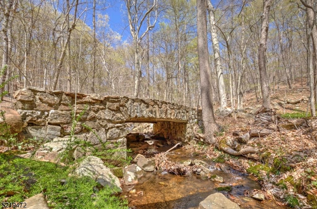 60 and 66 Rippling Brook Wa, Bernardsville Boro, NJ 07924 — photo 4