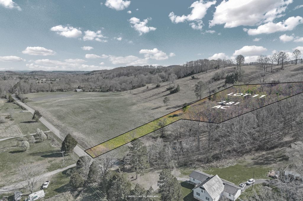 Lot 11 N Nopone Valley Road 1, Decatur, TN 37322