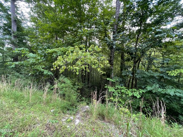 Lot 5 Stepping Stone Drive, Sevierville, TN 37862