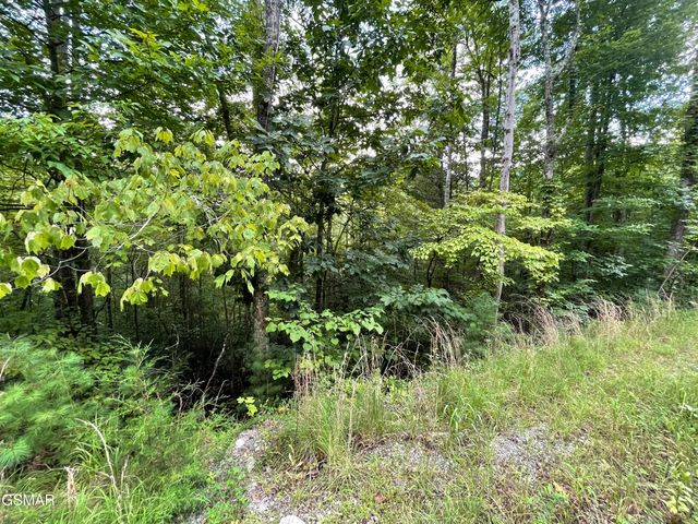 Lot 5 Stepping Stone Drive, Sevierville, TN 37862