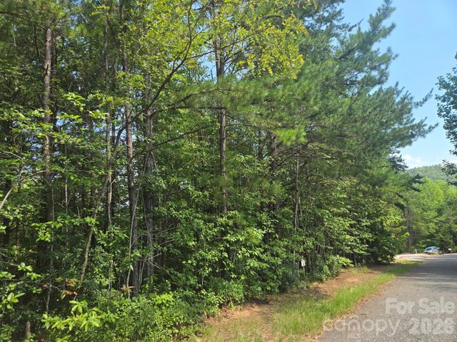 Lot 16 Highland Heights, Lake Lure, NC 28746