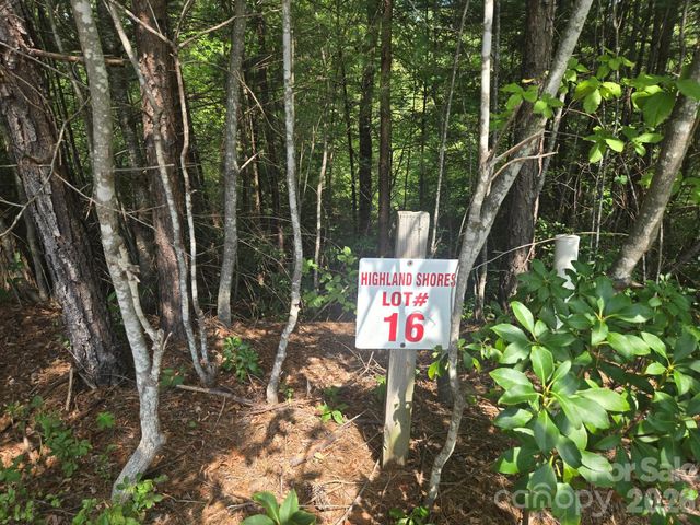 Lot 16 Highland Heights, Lake Lure, NC 28746