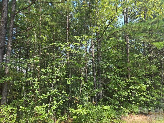 Lot 16 Highland Heights, Lake Lure, NC 28746