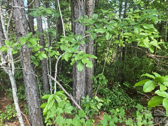 Lot 16 Highland Heights, Lake Lure, NC 28746