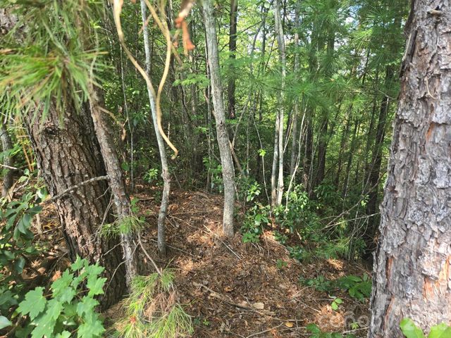 Lot 16 Highland Heights, Lake Lure, NC 28746