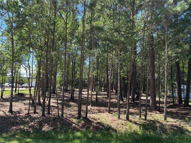 0 Bear Branch, Magnolia, TX 77354