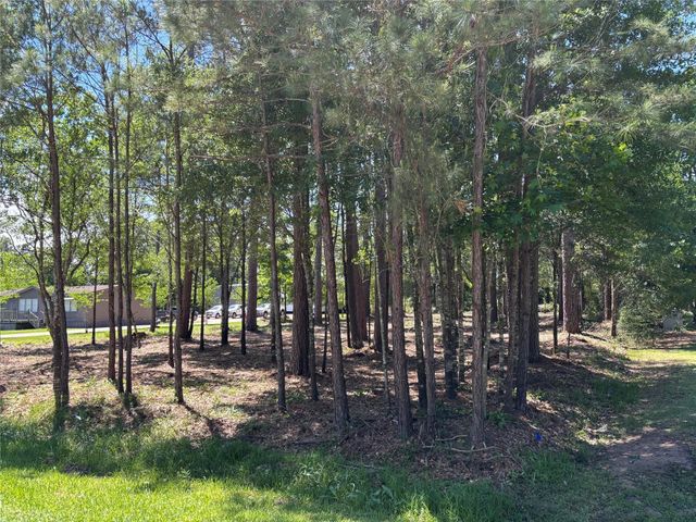 0 Bear Branch, Magnolia, TX 77354