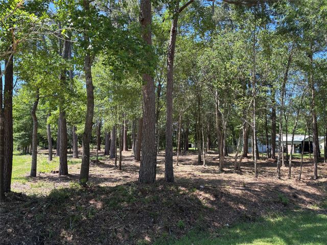 0 Bear Branch, Magnolia, TX 77354