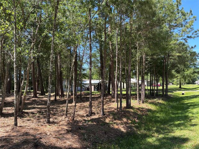 0 Bear Branch, Magnolia, TX 77354