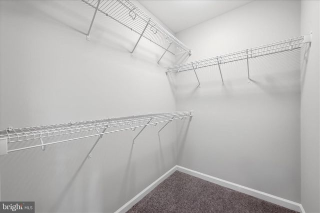 159 LAUCK DR, Winchester, VA 22603