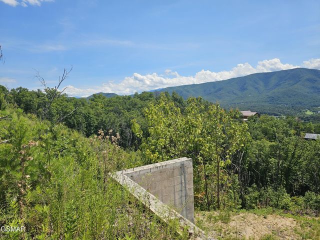 2330 Surries High Top Way, Sevierville, TN 37862