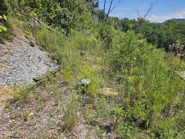 2330 Surries High Top Way, Sevierville, TN 37862