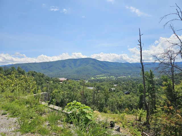 2330 Surries High Top Way, Sevierville, TN 37862