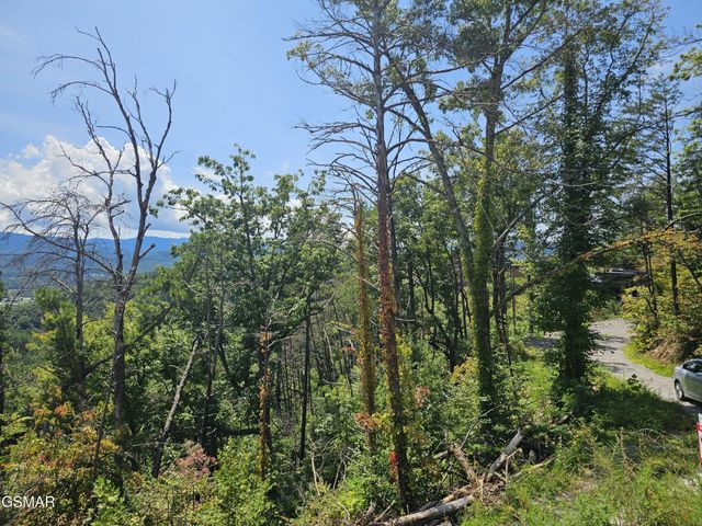 2330 Surries High Top Way, Sevierville, TN 37862
