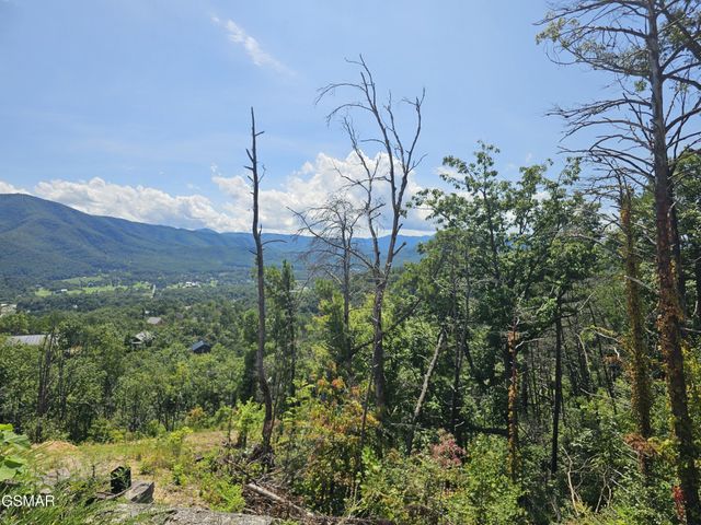 2330 Surries High Top Way, Sevierville, TN 37862