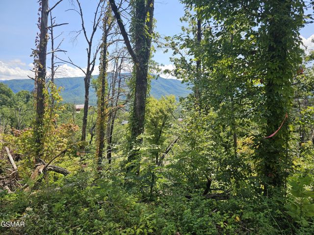 2330 Surries High Top Way, Sevierville, TN 37862