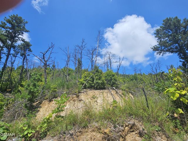 2330 Surries High Top Way, Sevierville, TN 37862