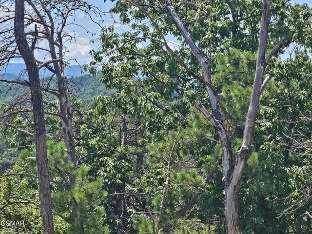 2330 Surries High Top Way, Sevierville, TN 37862