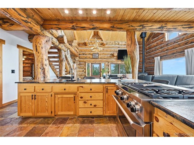 25504 Mountain Moss Ct, Evergreen, CO 80439