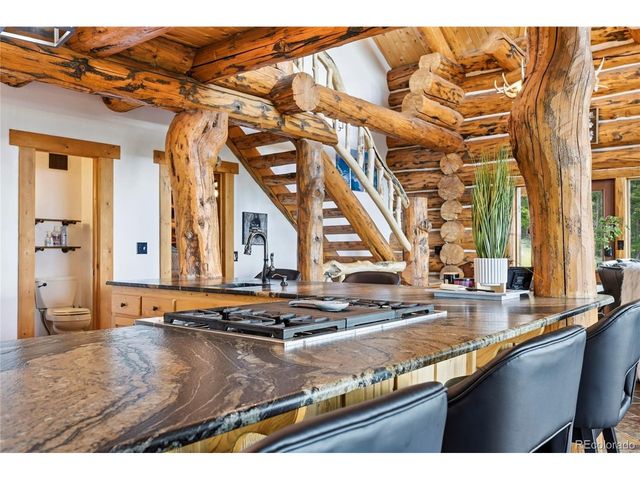 25504 Mountain Moss Ct, Evergreen, CO 80439