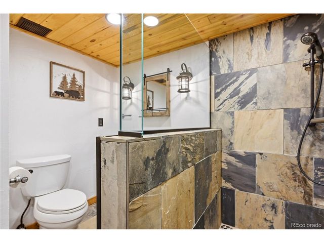 25504 Mountain Moss Ct, Evergreen, CO 80439
