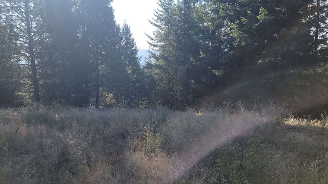642 Overlook Dr, Newport, WA 99156