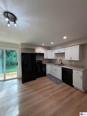 431 Cedarcrest Drive, Brandenburg, KY 40108