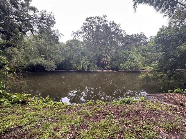 1753 E MULBERRY DRIVE, Tampa, FL 33604