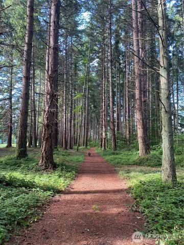 46 G Mukilteo Way, Hat Island, WA 98206