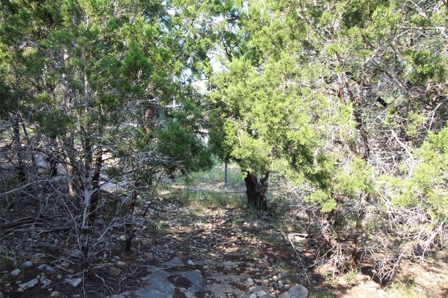 311 Big Bend Drive, Canyon Lake, TX 78133