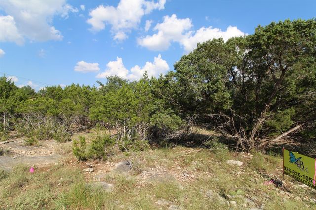 311 Big Bend Drive, Canyon Lake, TX 78133