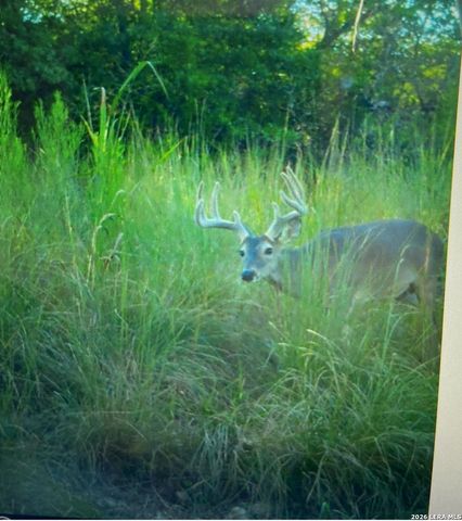 97 Coleman Springs, Boerne, TX 78006