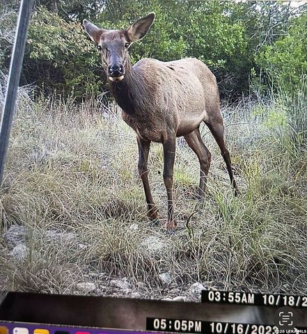 97 Coleman Springs, Boerne, TX 78006