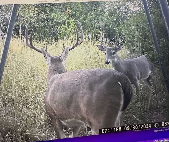 97 Coleman Springs, Boerne, TX 78006