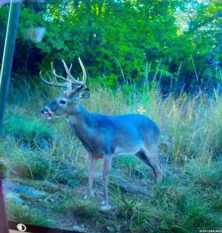 97 Coleman Springs, Boerne, TX 78006