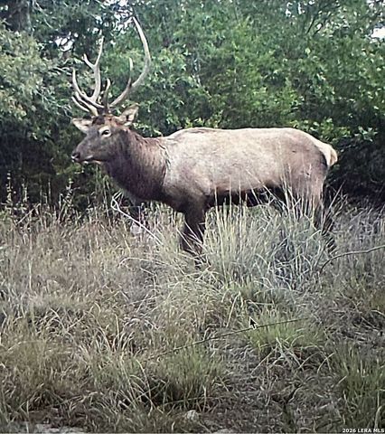 97 Coleman Springs, Boerne, TX 78006