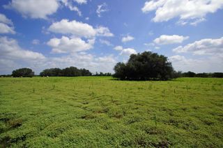 2002 County Road 276, Bertram, TX 78605