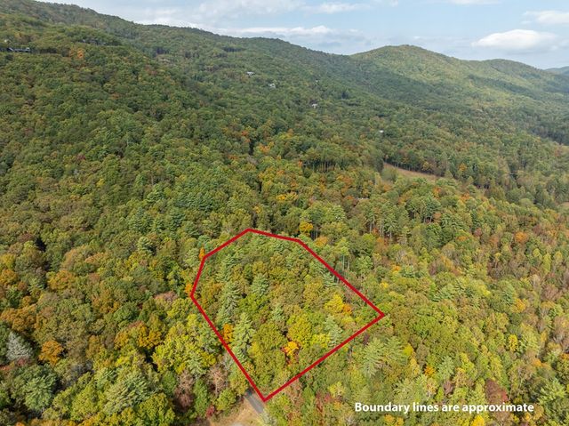 Lot 1 Chief Whitetails Road, Ellijay, GA 30540